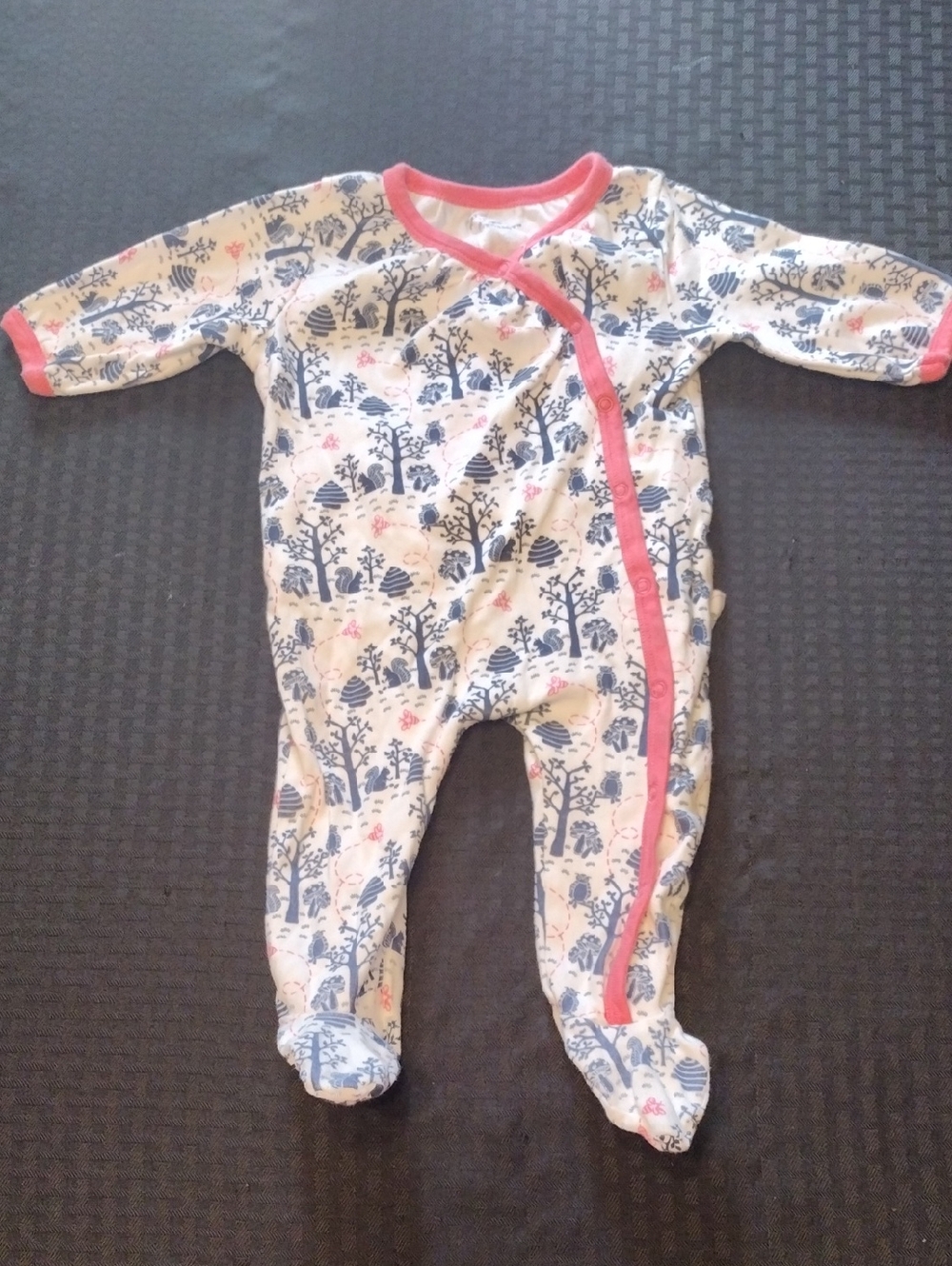 Baby Footed One-Piece Pajama with Pink Trim and Blue Woodland Print